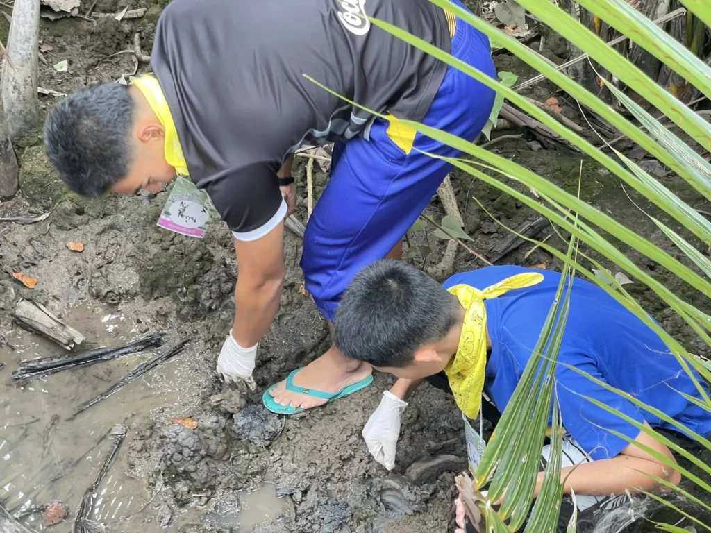 : กิจกรรม นักสืบป่าชายเลน ประยุกต์ทักษะวิทยาศาสตร์ 101 มาช่วยกันสืบค้น บันทึก และถอดระหัสป่าชายเลนผ่านการปฏิบัติจริง